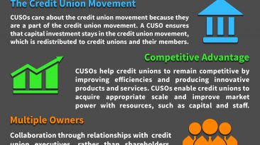 Why work with a cuso