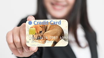 Mypicturecard-blogthumbnail-2